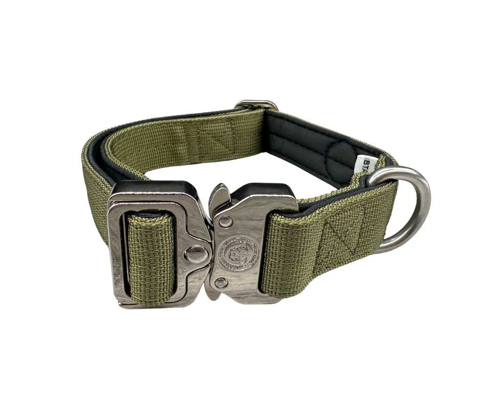 2.5cm Nylon BTactical™ Collar | Khaki Green