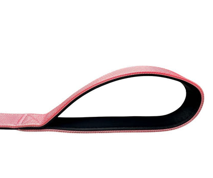 BTactical™ Nylon Carabiner Clip Dog Lead | Extra-Strong Anti Pull - Pretty Pink