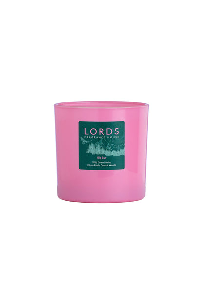 Big Sur 3 Wick Candle