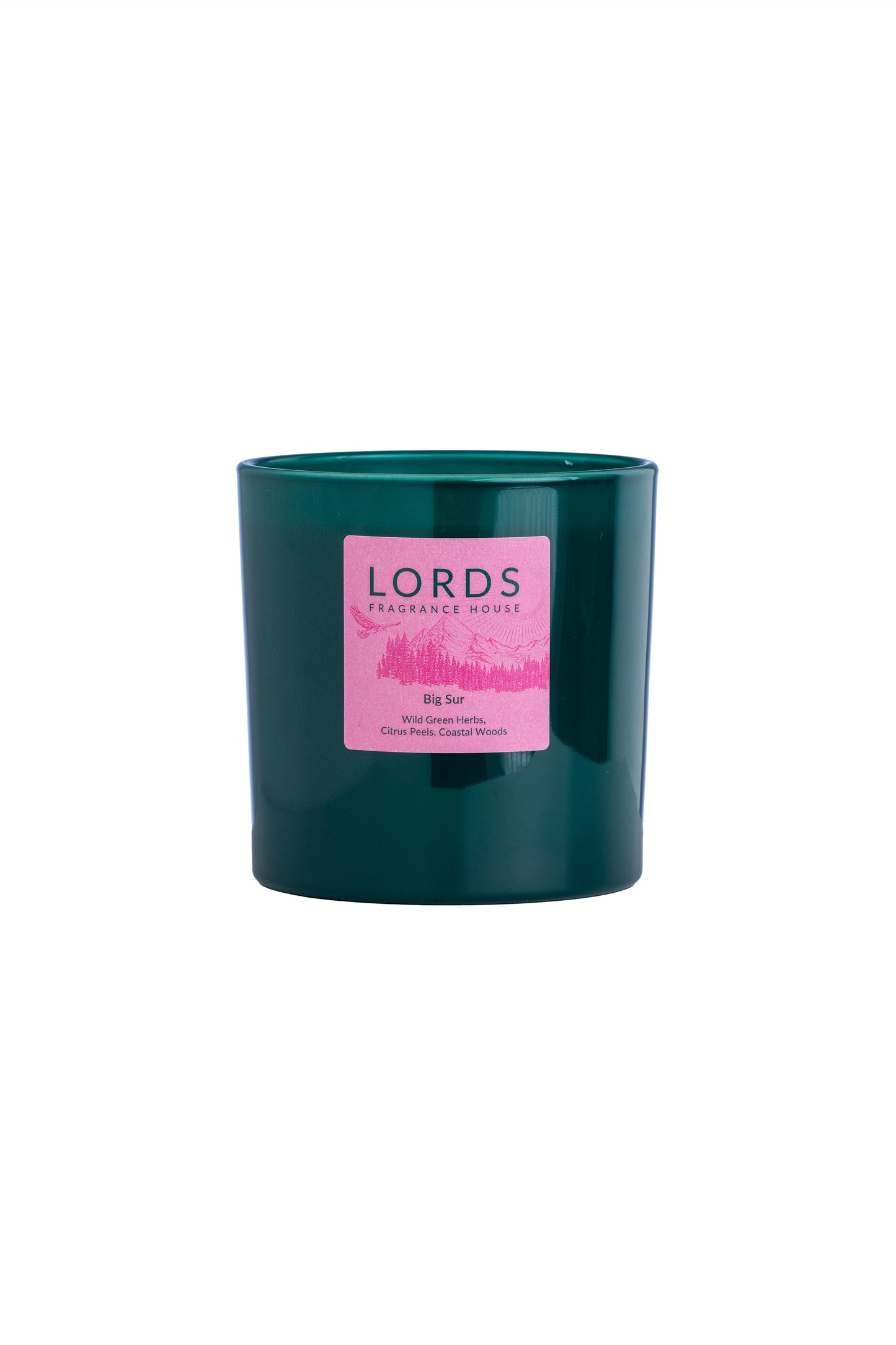 Big Sur 3 Wick Candle