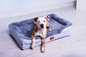 The Belgravia Orthopaedic Dog Sofa™ - Large