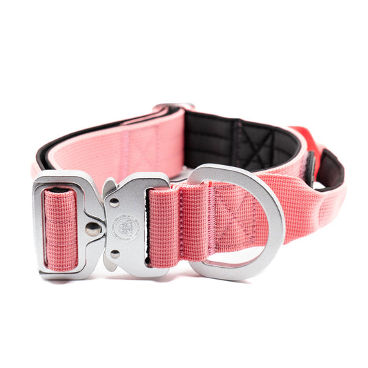 4cm Nylon BTactical™ Collar | Pretty Pink - NEW
