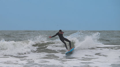 5' 11" Heritage Twin Fish in Gloss Tint