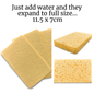 Cleaning Cloths & Sponges