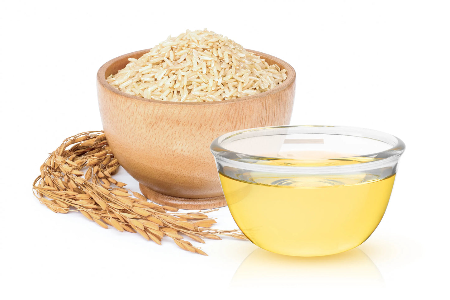 Fragrance Free Night Face Oil 10mls