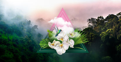Monteverde Fragrance Oil